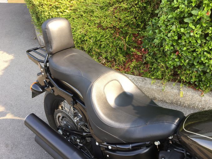 HARLEY-DAVIDSON SOFTAIL STREET BOB 1745 4