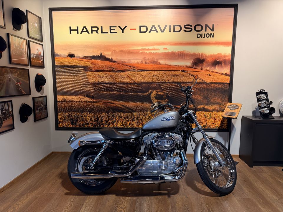 HARLEY-DAVIDSON SPORTSTER 883 LOW 4