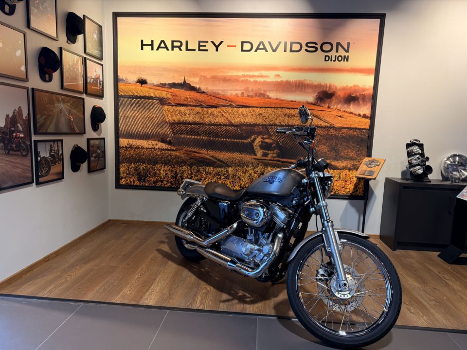 HARLEY-DAVIDSON SPORTSTER 883 LOW 4
