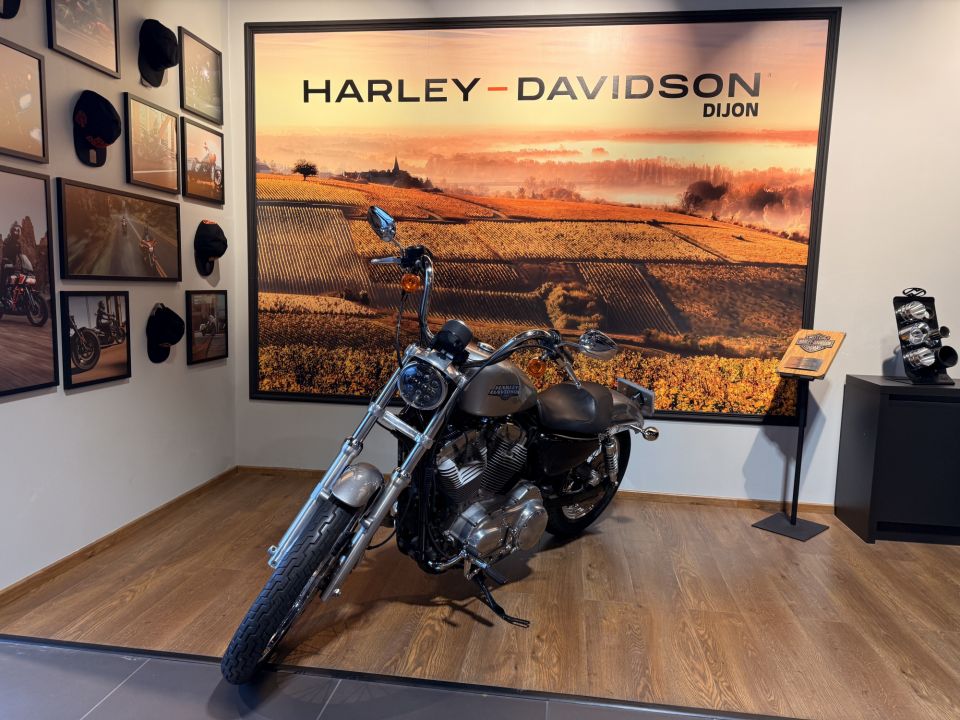 HARLEY-DAVIDSON SPORTSTER 883 LOW 4