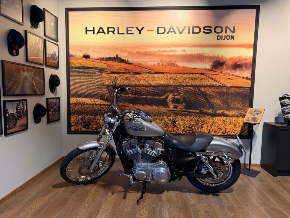 HARLEY-DAVIDSON SPORTSTER 883 LOW 4