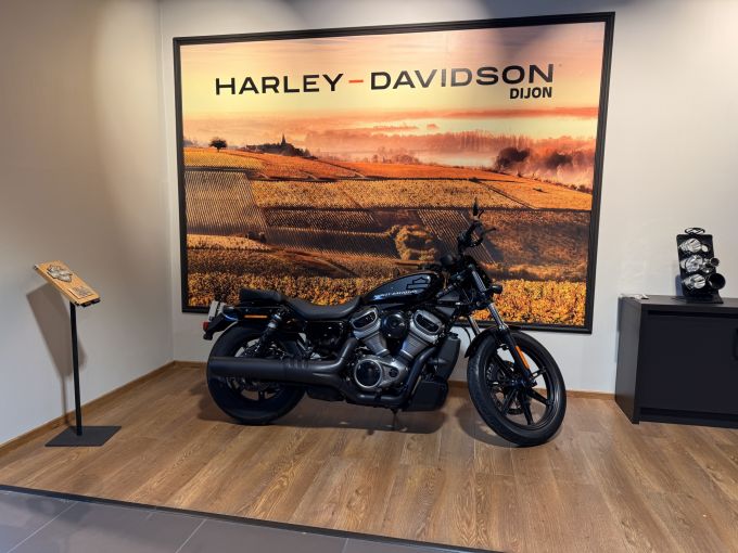 HARLEY-DAVIDSON SPORTSTER NIGHTSTER 975 4