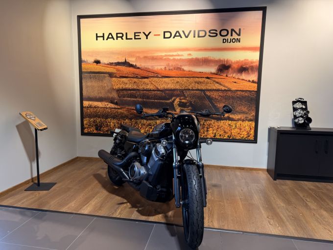 HARLEY-DAVIDSON SPORTSTER NIGHTSTER 975 4