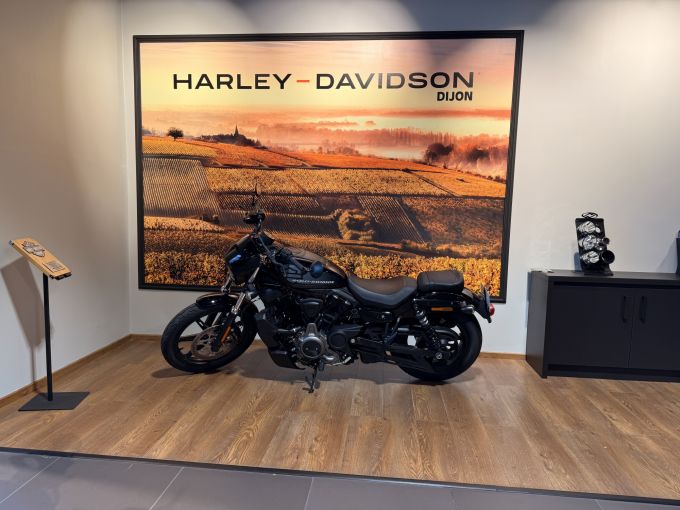 HARLEY-DAVIDSON SPORTSTER NIGHTSTER 975 4