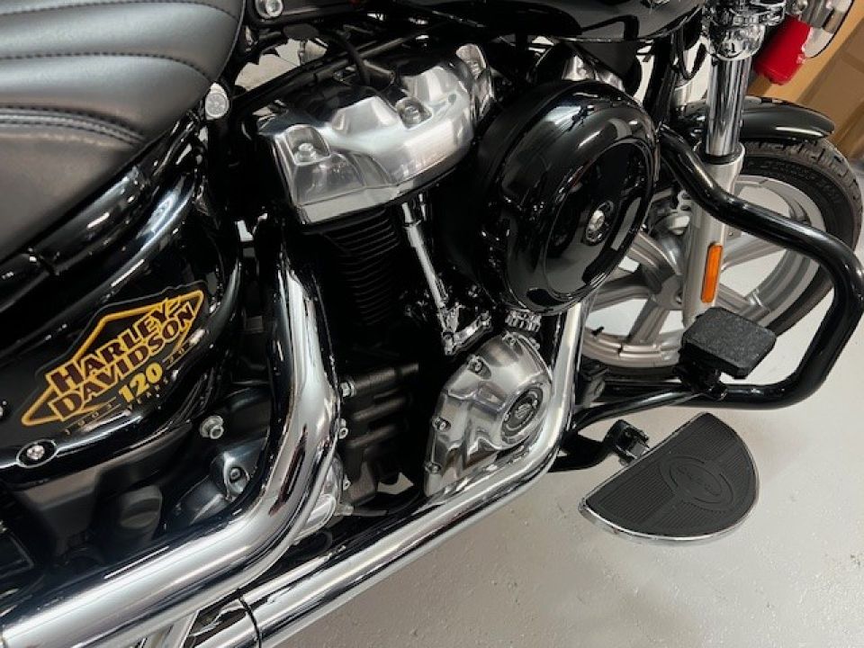 HARLEY-DAVIDSON SOFTAIL STANDARD 1745 4
