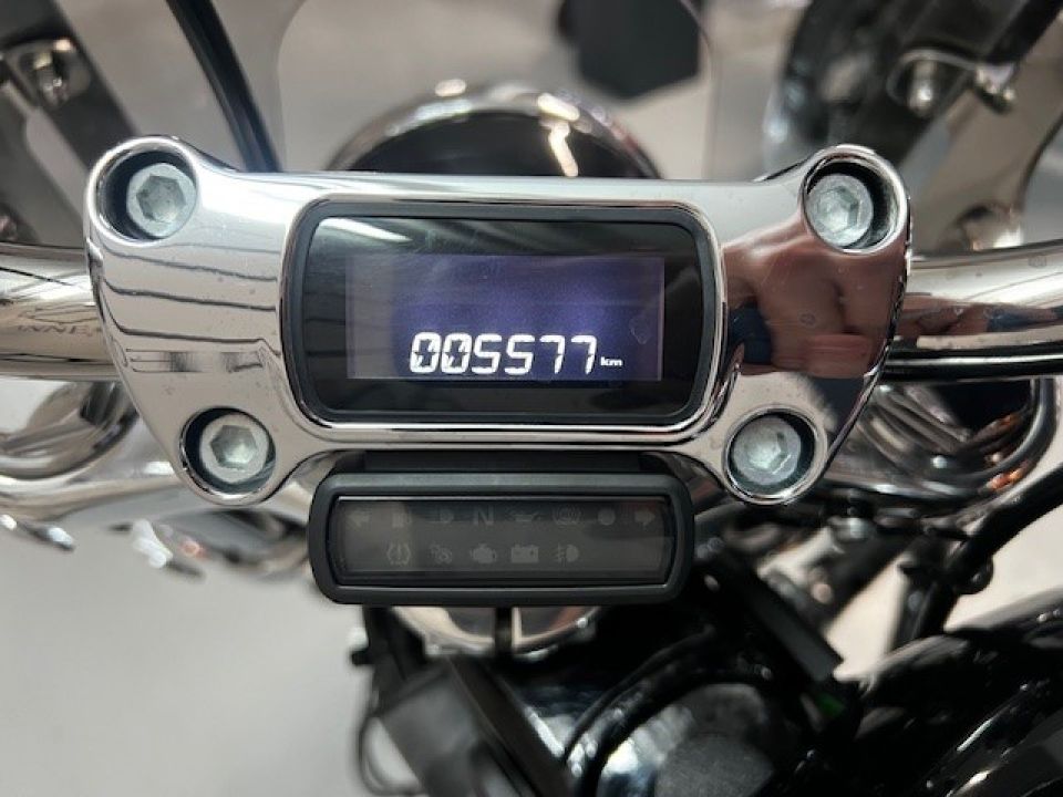 HARLEY-DAVIDSON SOFTAIL STANDARD 1745 4