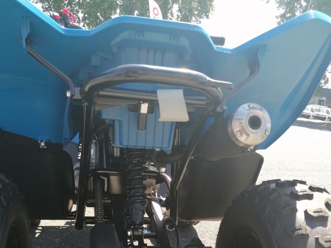 CF MOTO CFORCE 110 4
