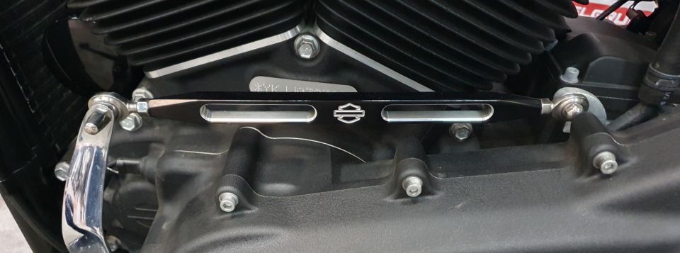 HARLEY-DAVIDSON SOFTAIL FAT BOB 1745 4