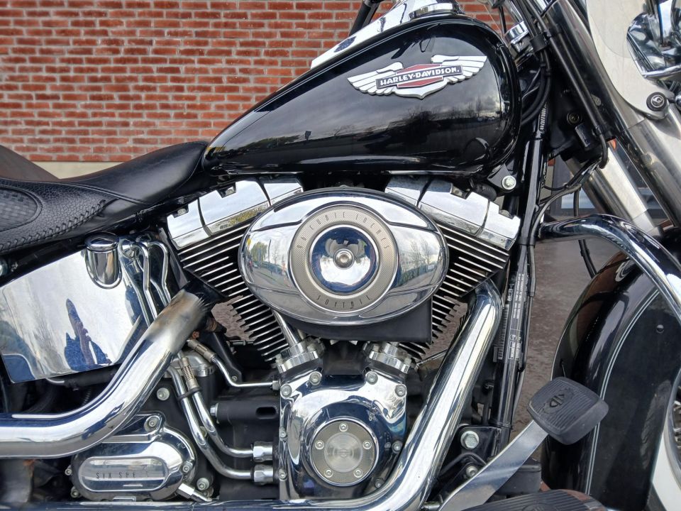 HARLEY-DAVIDSON SOFTAIL DELUXE 1584 4