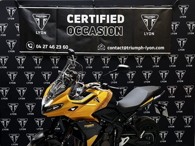TRIUMPH TIGER 800 4