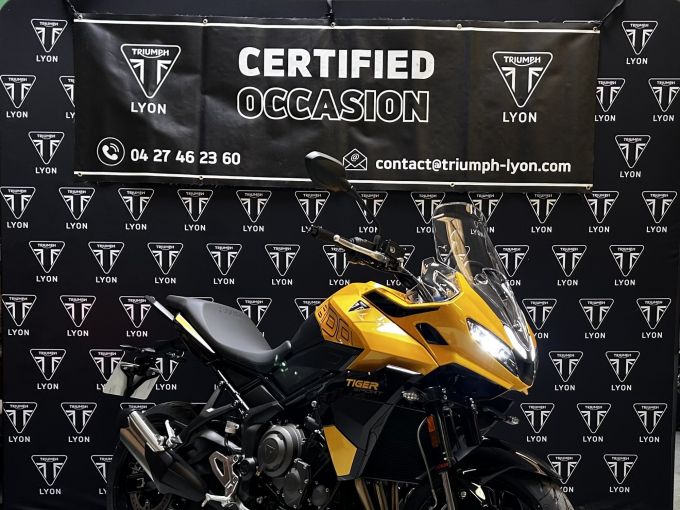 TRIUMPH TIGER 800 4
