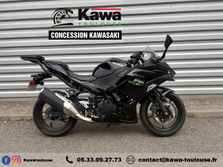 KAWASAKI Ninja 500 - 2024