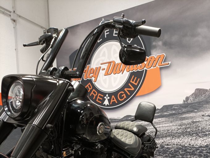 HARLEY-DAVIDSON SOFTAIL FAT BOY 1868 4