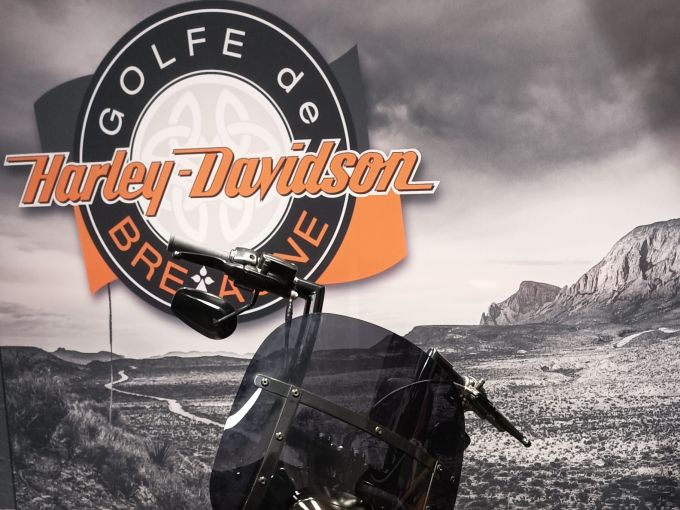 HARLEY-DAVIDSON SOFTAIL FAT BOY 1868 4