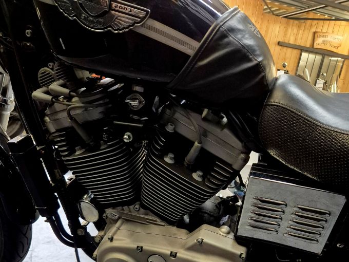 HARLEY-DAVIDSON SPORTSTER SPORT 1200 4