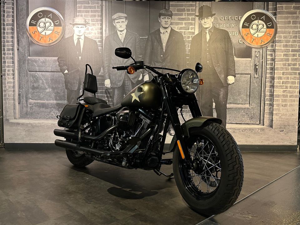 HARLEY-DAVIDSON SOFTAIL SLIM 1800 S 4