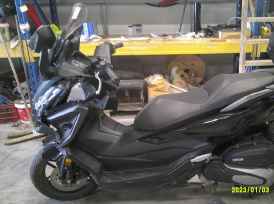 HONDA NSS FORZA  125AD - 2022