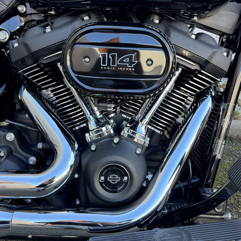 HARLEY-DAVIDSON SOFTAIL HERITAGE 1868 CLASSIC 4