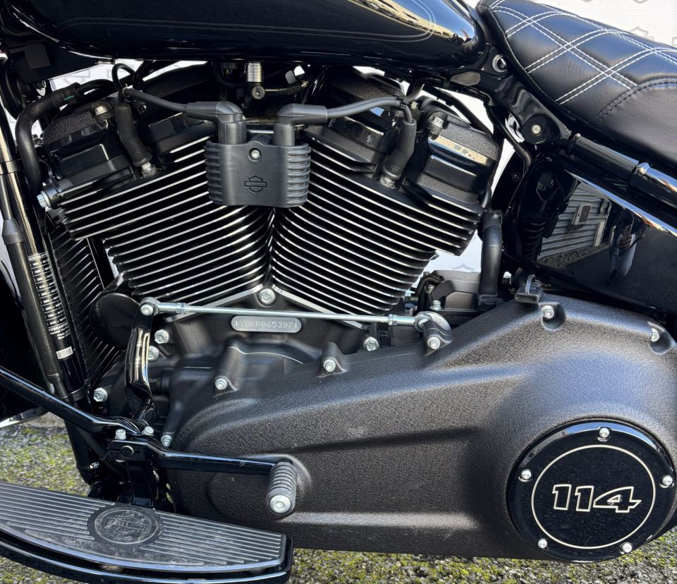HARLEY-DAVIDSON SOFTAIL HERITAGE 1868 CLASSIC 4