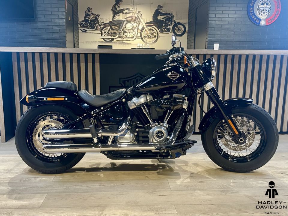 HARLEY-DAVIDSON SOFTAIL SLIM 1745 4