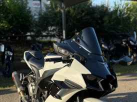KAWASAKI ZX-10R - 2022