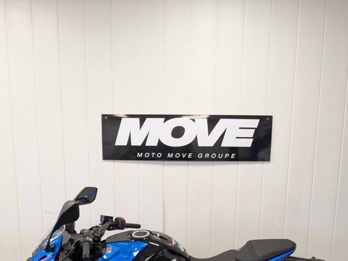 SUZUKI GSX-8R 4