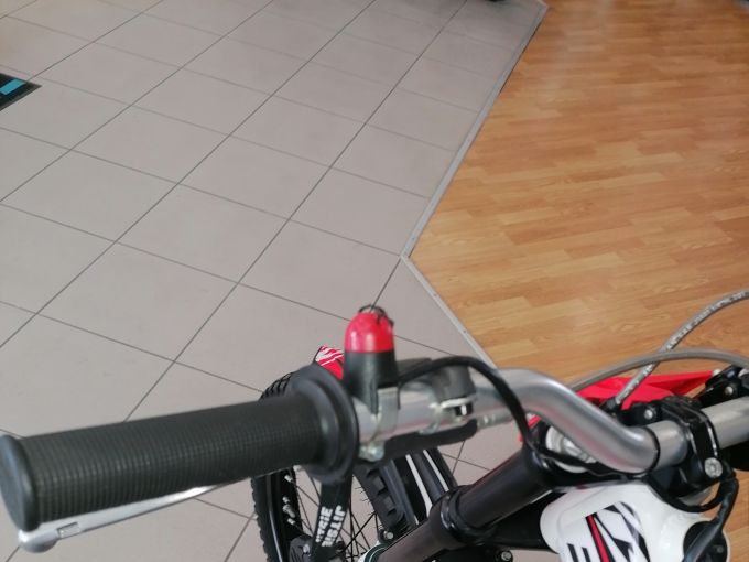 BETA EVO 300 4T 4