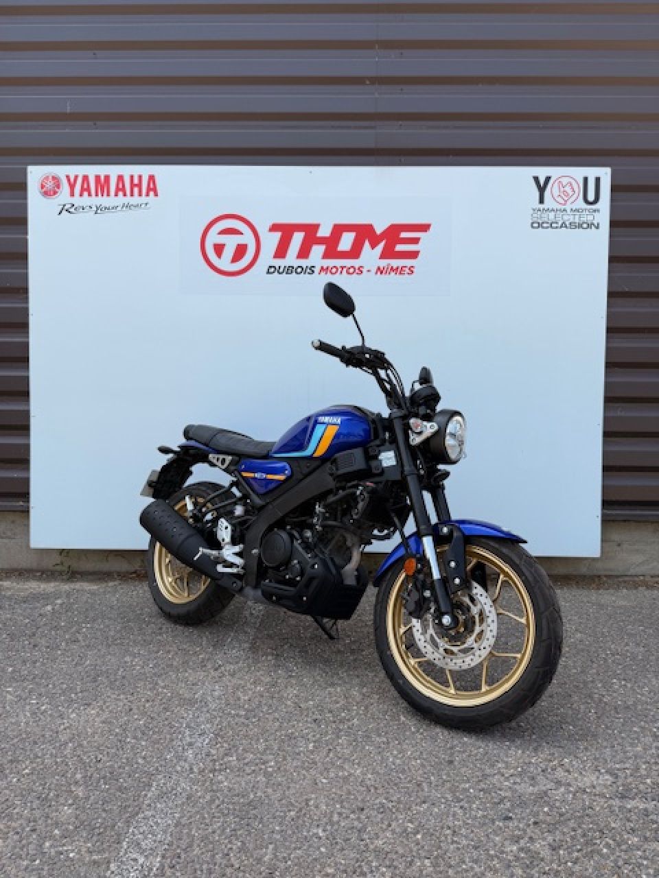 YAMAHA XSR 125 4