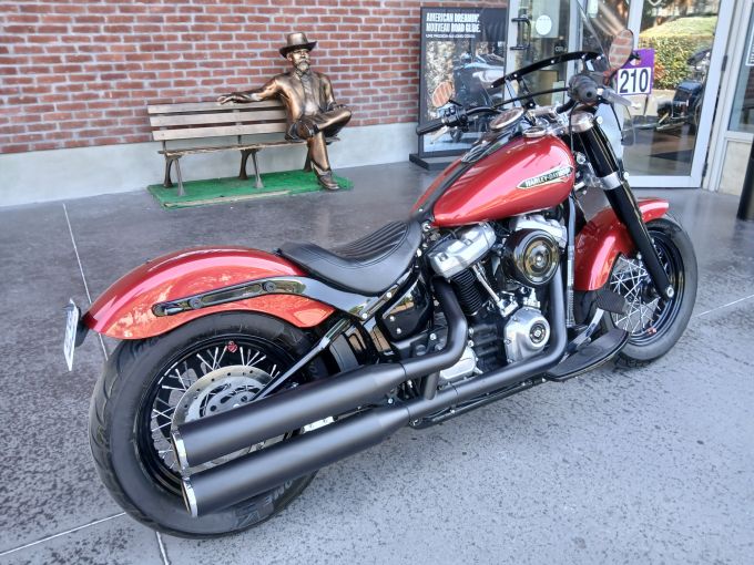 HARLEY-DAVIDSON SOFTAIL SLIM 1745 4