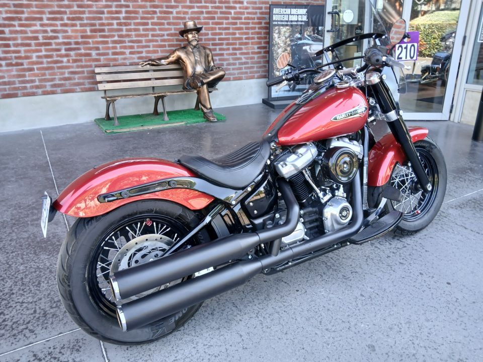 HARLEY-DAVIDSON SOFTAIL SLIM 1745 4