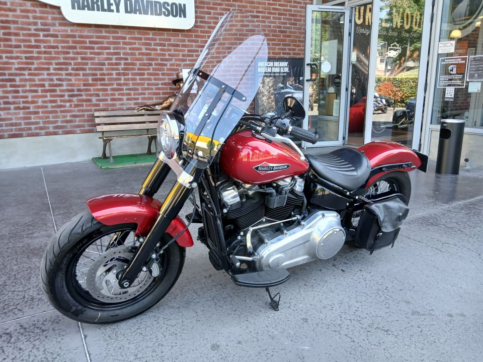 HARLEY-DAVIDSON SOFTAIL SLIM 1745 4