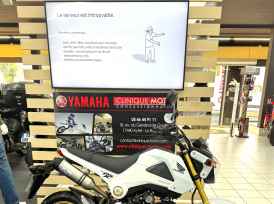 HONDA MSX 125 - 2015