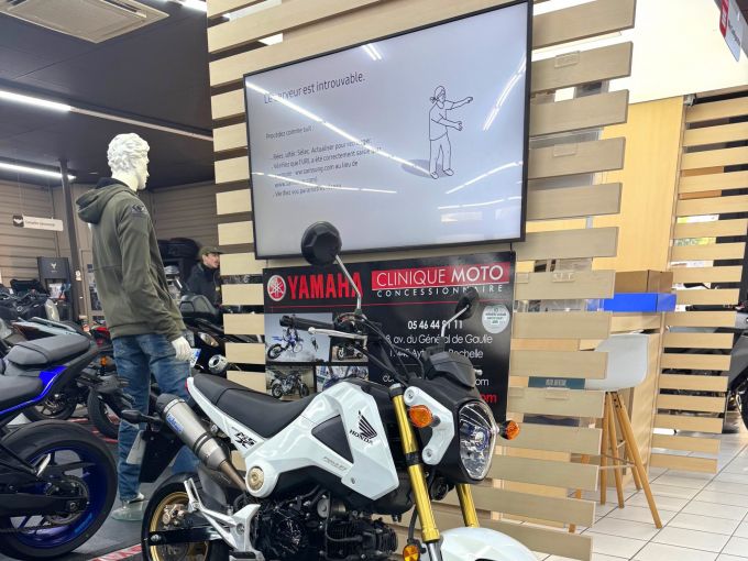 HONDA MSX 125 4