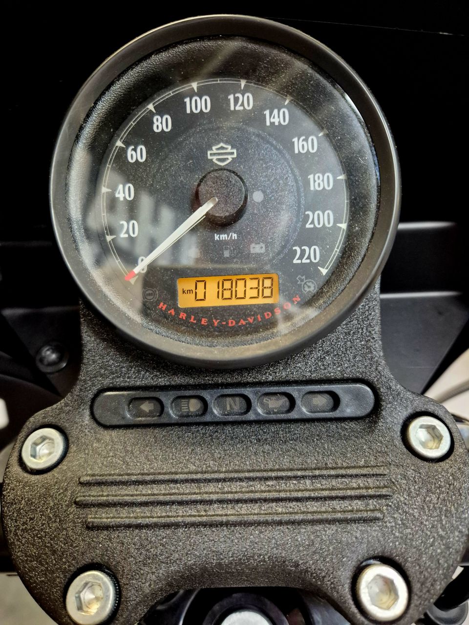 HARLEY-DAVIDSON SPORTSTER IRON 1200 4