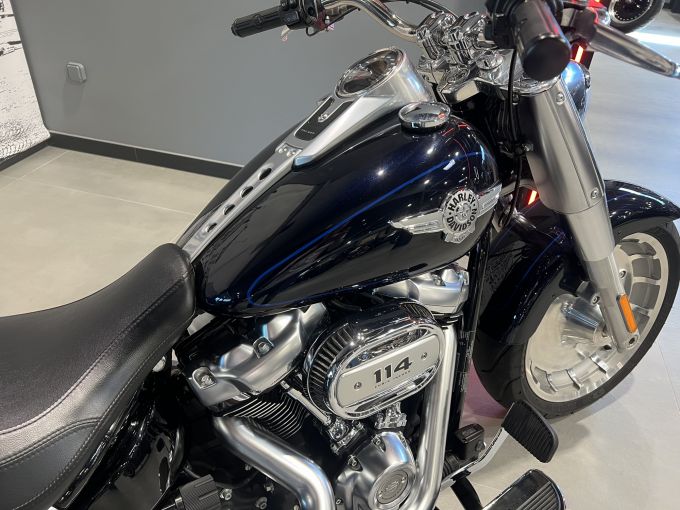HARLEY-DAVIDSON SOFTAIL FAT BOY 1868 4