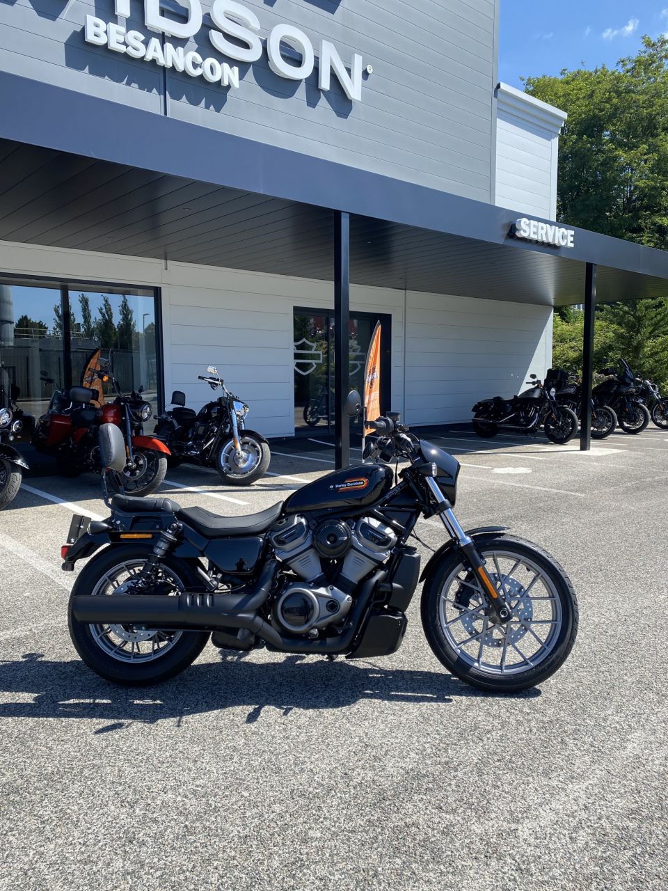 HARLEY-DAVIDSON SPORTSTER NIGHTSTER 975 SPECIAL 4