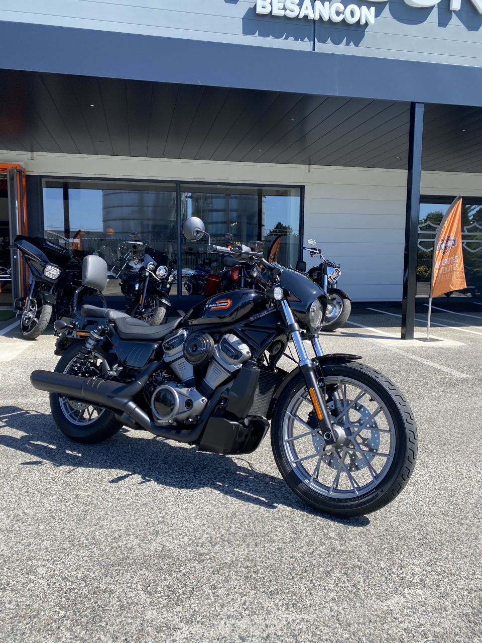 HARLEY-DAVIDSON SPORTSTER NIGHTSTER 975 SPECIAL 4