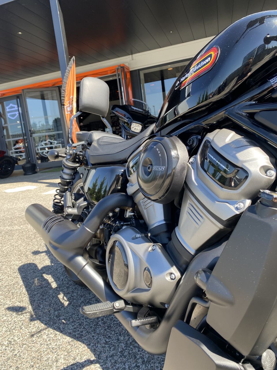 HARLEY-DAVIDSON SPORTSTER NIGHTSTER 975 SPECIAL 4