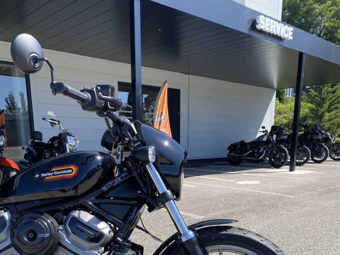 HARLEY-DAVIDSON SPORTSTER NIGHTSTER 975 SPECIAL 4
