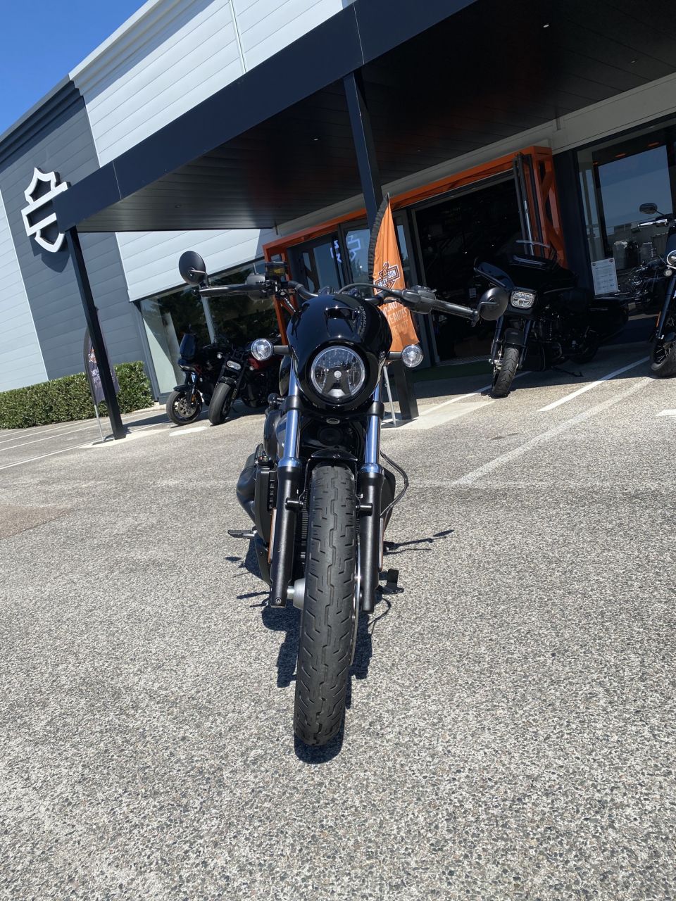 HARLEY-DAVIDSON SPORTSTER NIGHTSTER 975 SPECIAL 4