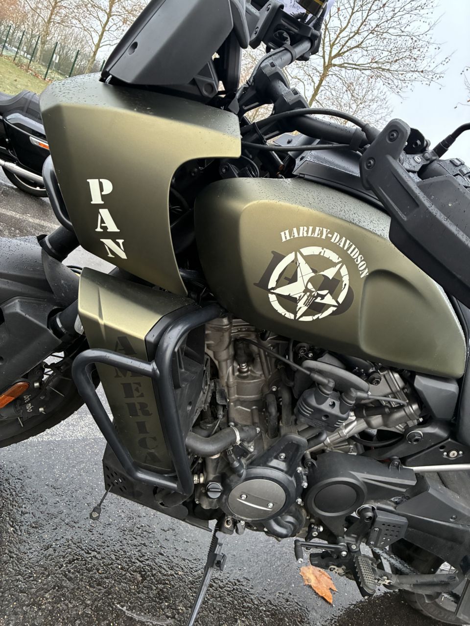 HARLEY-DAVIDSON ADVENTURE PAN AMERICA 1250 SPECIAL 4