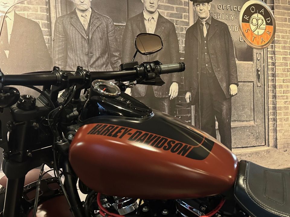 HARLEY-DAVIDSON SOFTAIL FAT BOB 1745 4