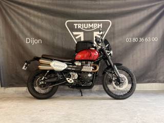TRIUMPH SCRAMBLER 1200 - 2024