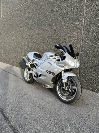 TRIUMPH DAYTONA 955i - 2000