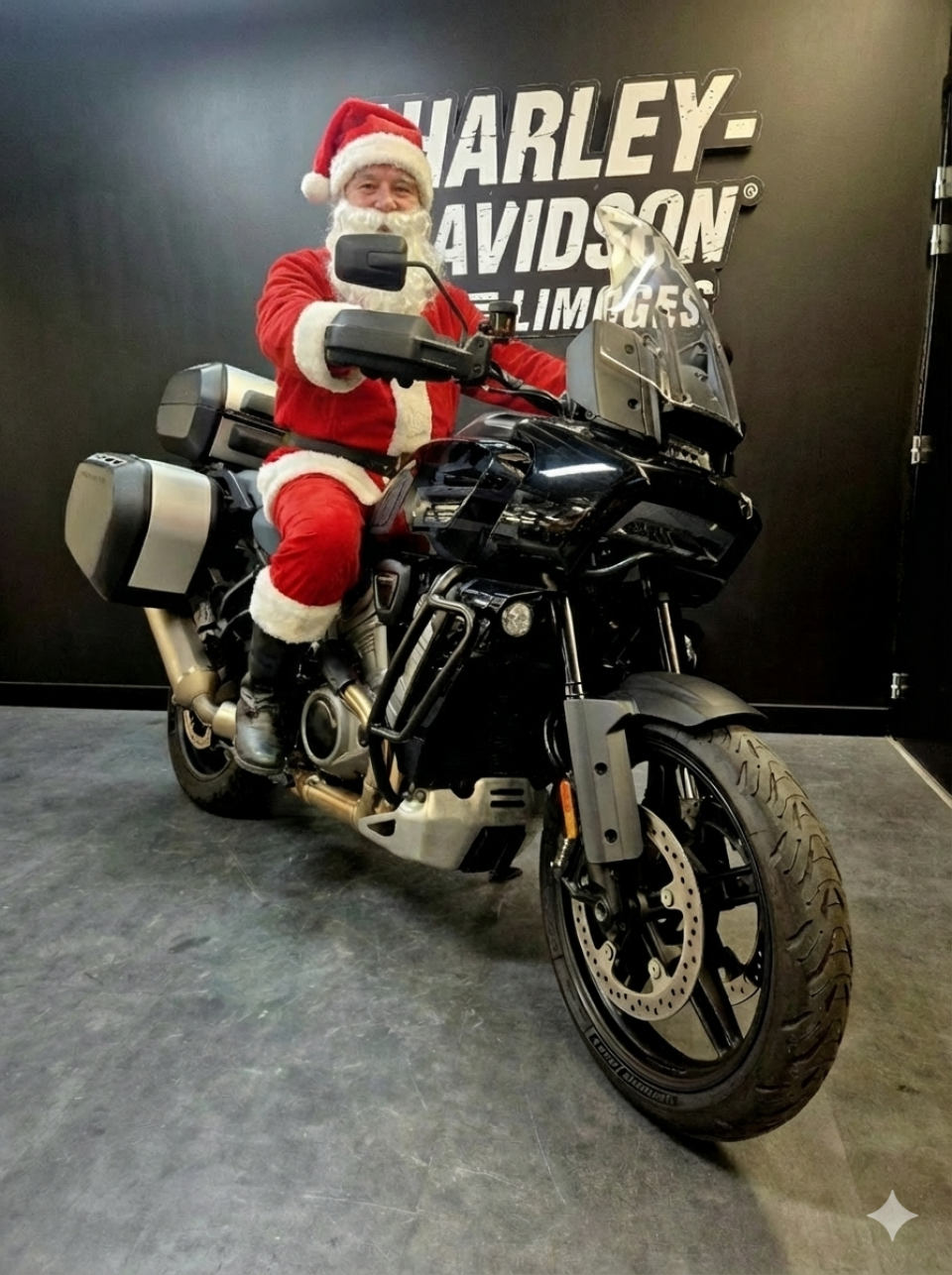 HARLEY-DAVIDSON ADVENTURE PAN AMERICA 1250 SPECIAL 4