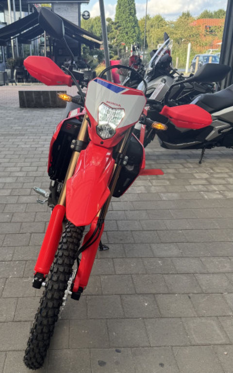 HONDA CRF300L 4