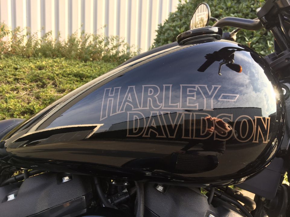 HARLEY-DAVIDSON SOFTAIL LOW RIDER 1923 S 4