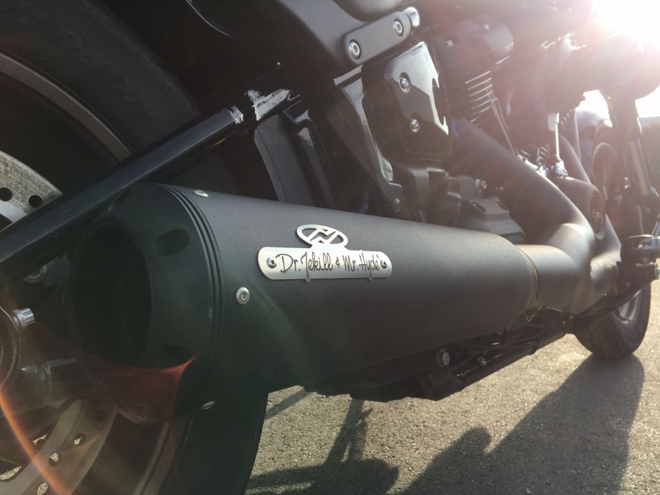 HARLEY-DAVIDSON SOFTAIL LOW RIDER 1923 S 4