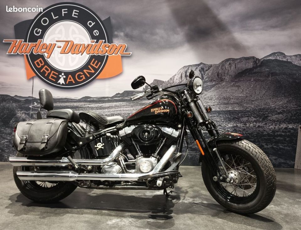 HARLEY-DAVIDSON SOFTAIL SPRINGER 1584 CROSS BONES 4