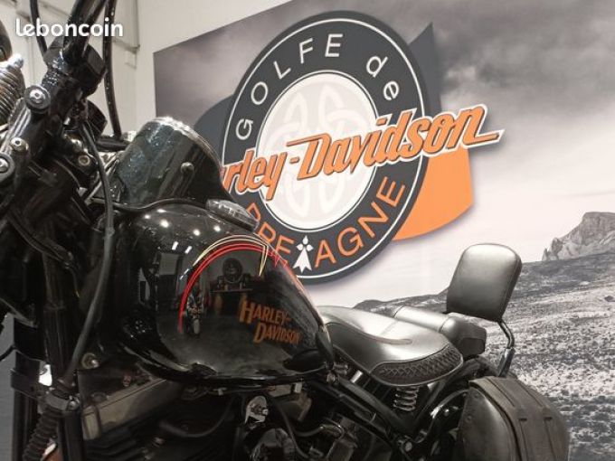 HARLEY-DAVIDSON SOFTAIL SPRINGER 1584 CROSS BONES 4